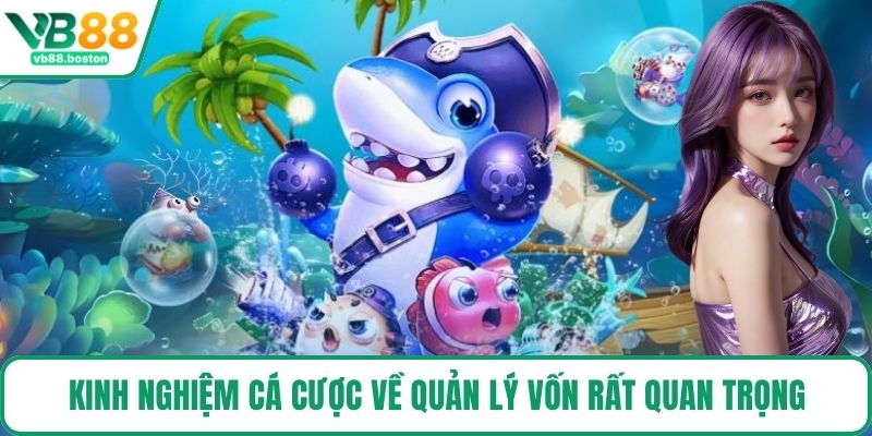 Bắn Cá 5 Sao có chế độ chơi minh bạch